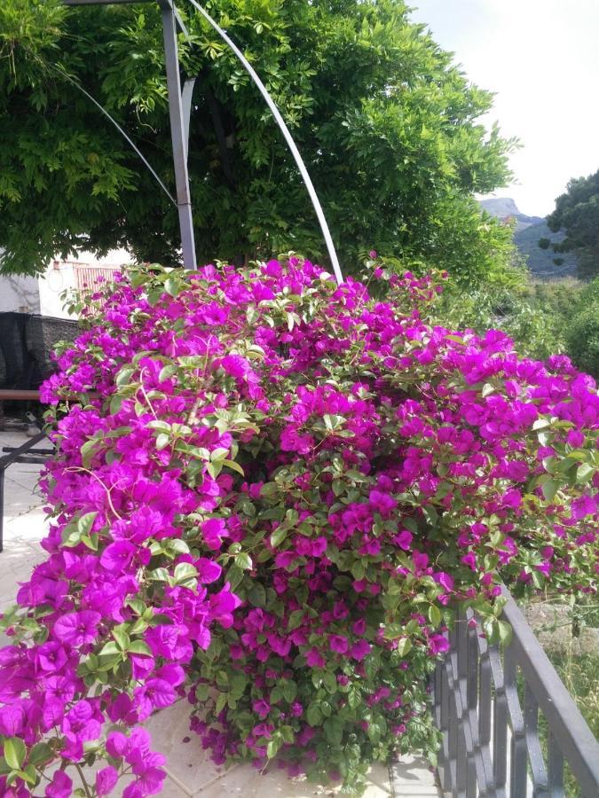 Incantevole Villa Con Vista Mozzafiato 切法卢 外观 照片