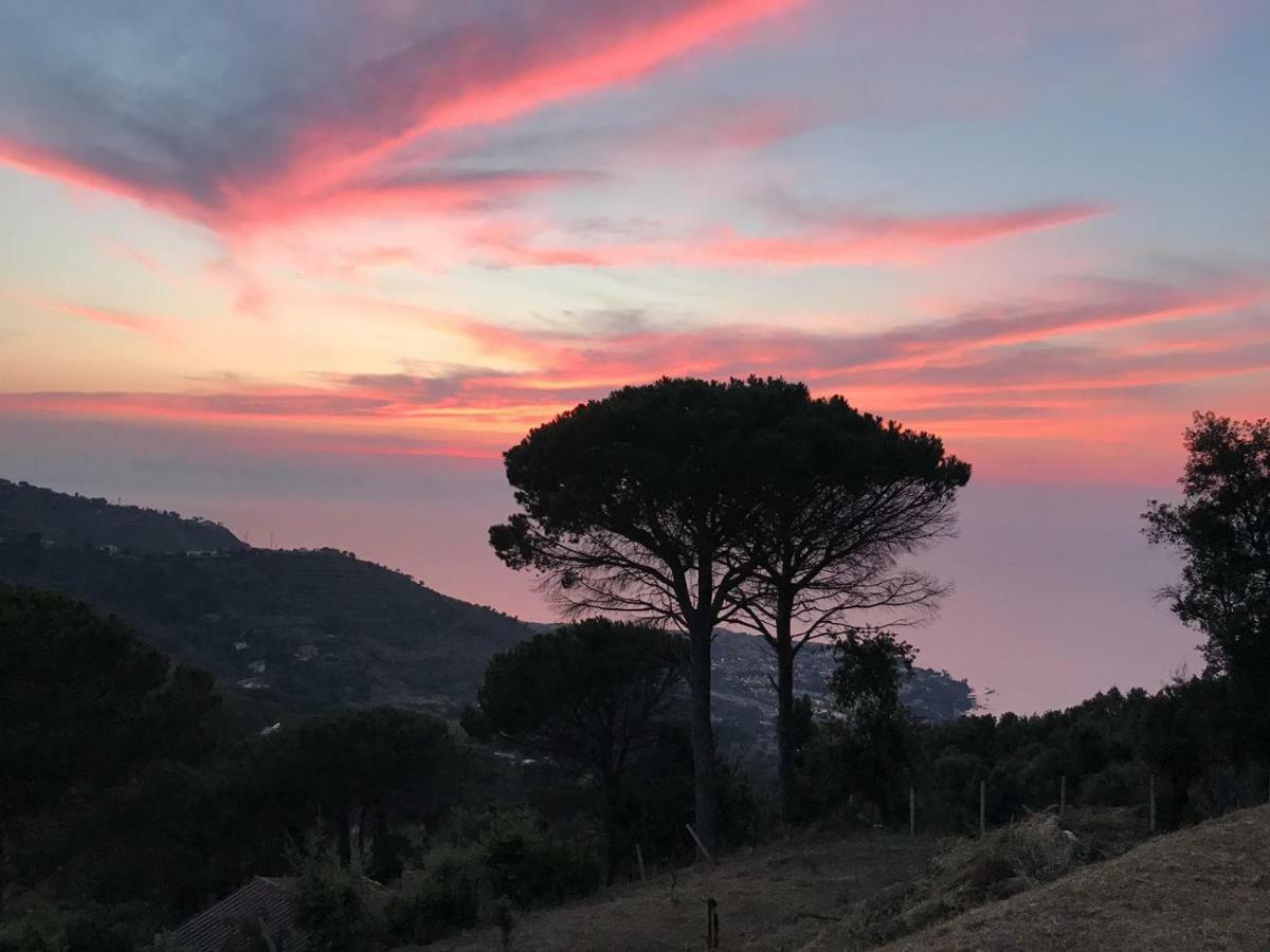 Incantevole Villa Con Vista Mozzafiato 切法卢 外观 照片